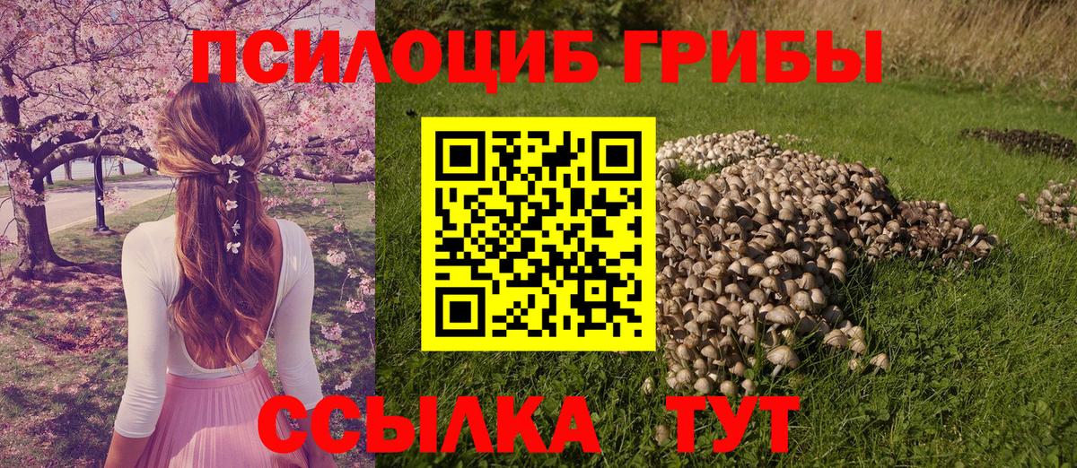 Галлюциногенные грибы ЛСД Белово